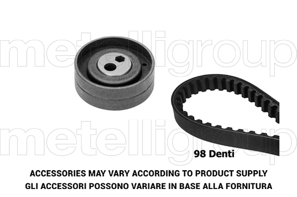 Timing Belt Kit (TP252)