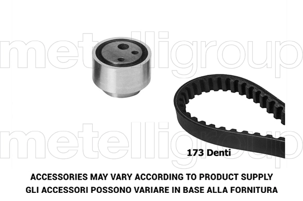 Timing Belt Kit (TP226)