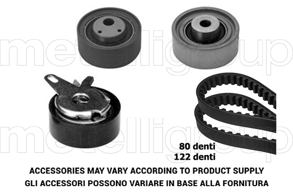 Timing Belt Kit (TP202)