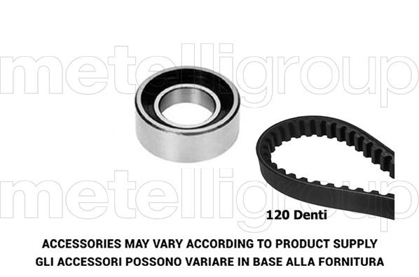 Timing Belt Kit (TP313)