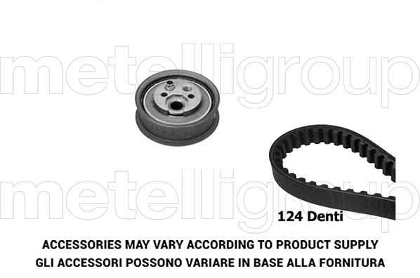 Timing Belt Kit (TP303)