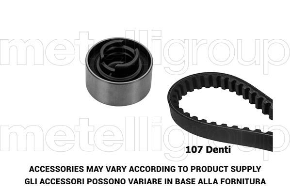 Timing Belt Kit (TP258)