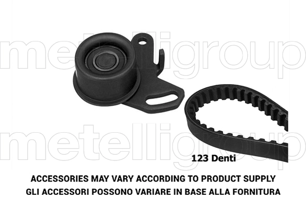 Timing Belt Kit (TP265)
