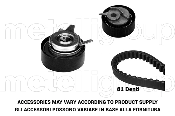 Timing Belt Kit (TP412)