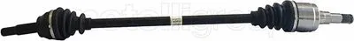 Drive Shaft (655-893)