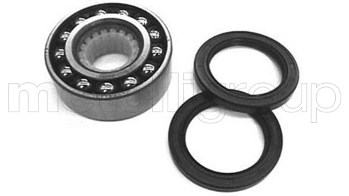 Wheel Bearing Kit (619-2120)