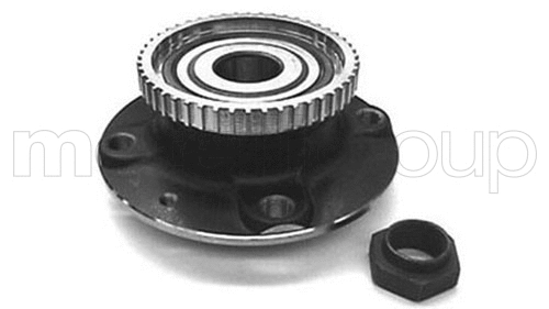 Wheel Bearing Kit (619-2669)