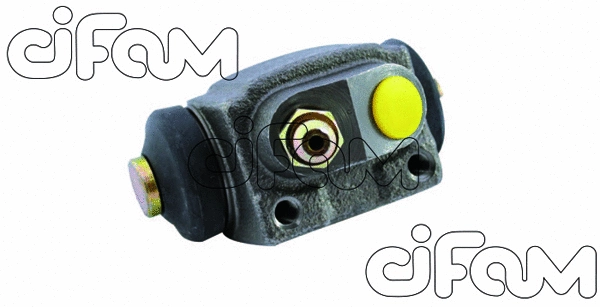Wheel Brake Cylinder (101-304)