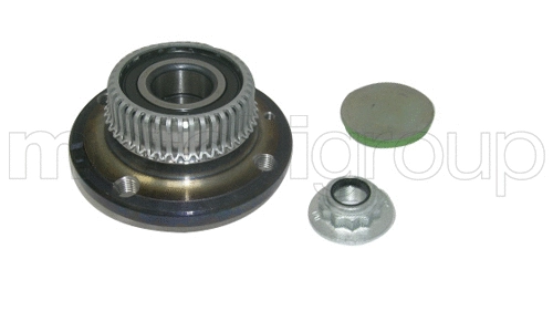 Wheel Bearing Kit (619-2465)