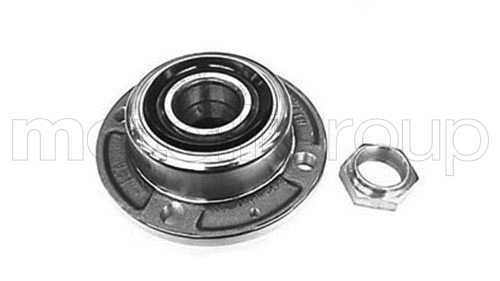 Wheel Bearing Kit (619-2527)