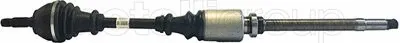 Drive Shaft (655-011)