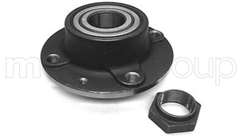 Wheel Bearing Kit (619-2667)