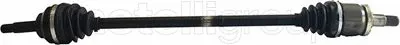 Drive Shaft (655-436)