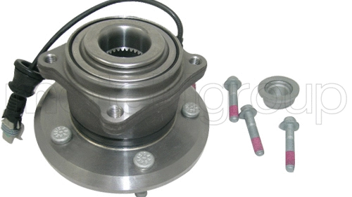 Wheel Bearing Kit (619-2897)