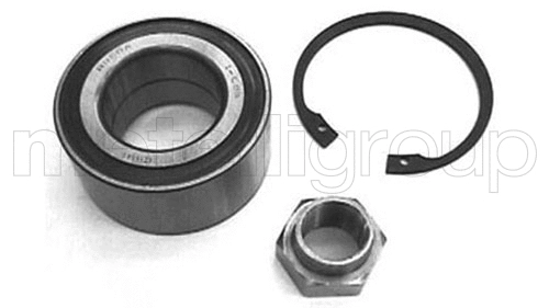 Wheel Bearing Kit (619-2154)