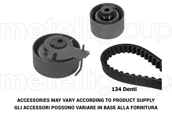 Timing Belt Kit (TW030)