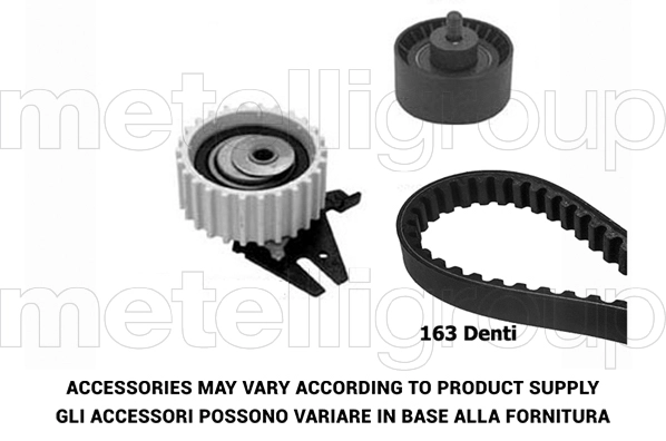 Timing Belt Kit (TW033)
