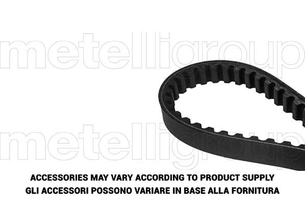 Timing Belt Kit (TW117)