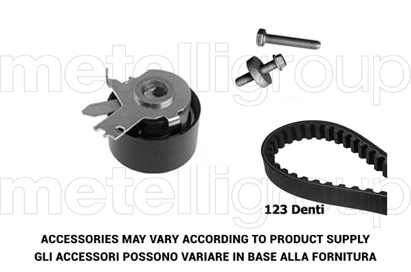 Timing Belt Kit (TW027)