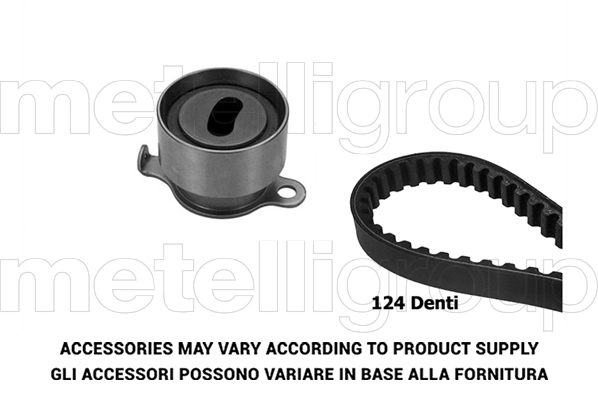 Timing Belt Kit (TW273)