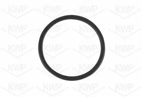Water Pump, engine cooling (101269)
