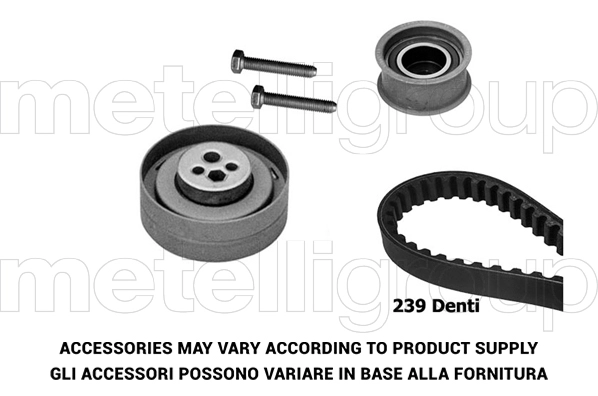 Timing Belt Kit (TW102)