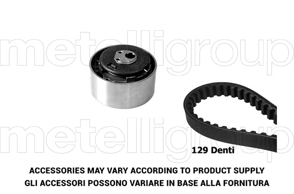 Timing Belt Kit (TW053)