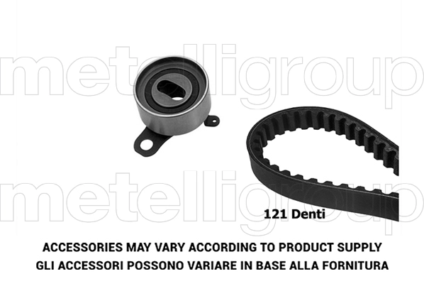 Timing Belt Kit (TW251)