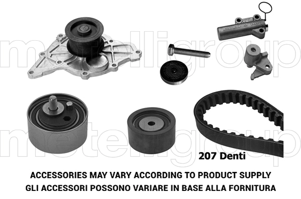 Timing Belt Kit (TW173)