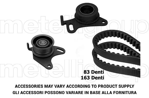 Timing Belt Kit (TW266)