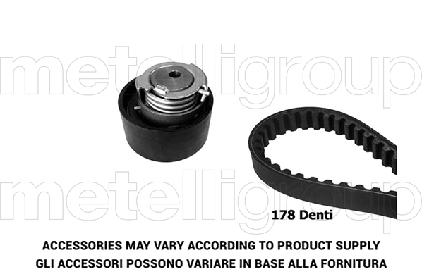 Timing Belt Kit (TW169)