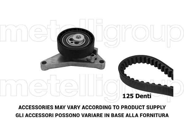 Timing Belt Kit (TW390)