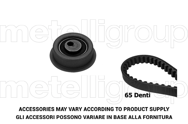Timing Belt Kit (TW387)