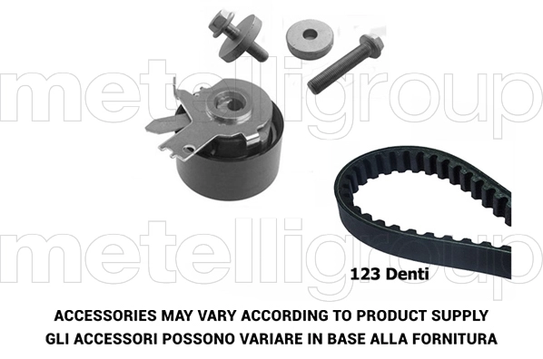 Timing Belt Kit (TW074)