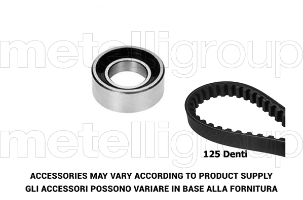 Timing Belt Kit (TW028)