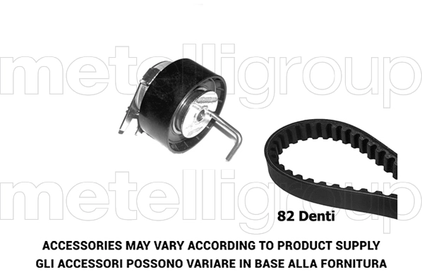 Timing Belt Kit (TW309)