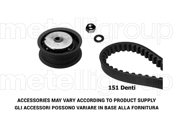 Timing Belt Kit (TW305)