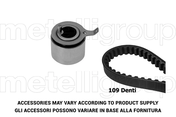 Timing Belt Kit (TW063)