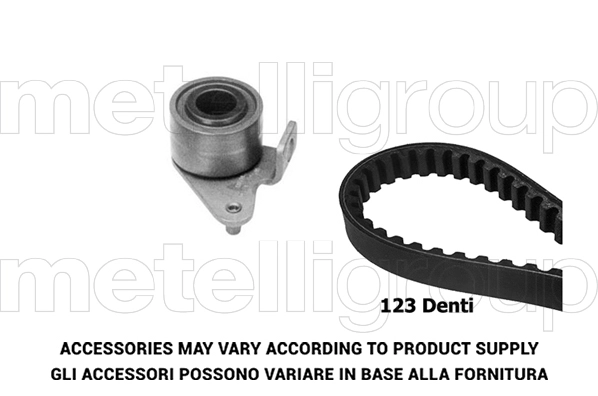 Timing Belt Kit (TW240)