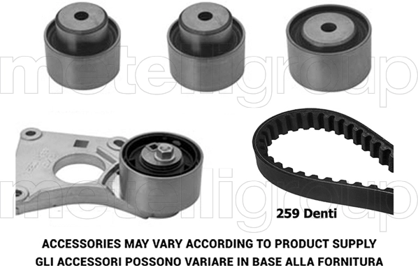 Timing Belt Kit (TW210)