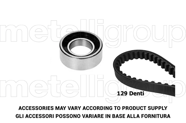 Timing Belt Kit (TW029)