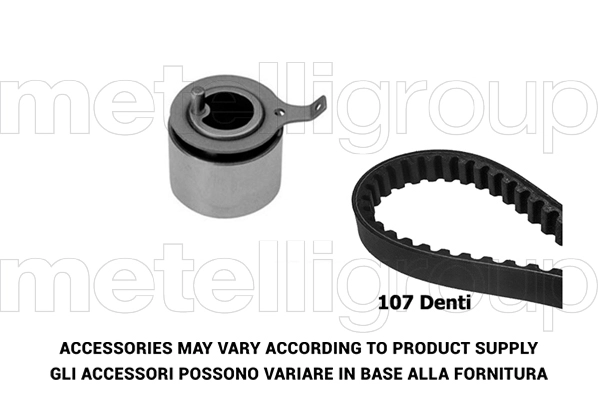 Timing Belt Kit (TW062)