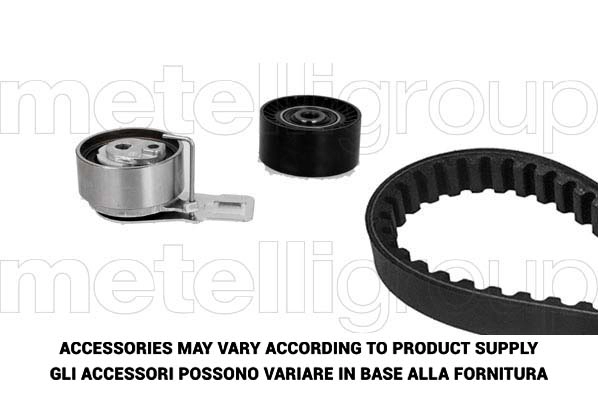 Timing Belt Kit (TW176)