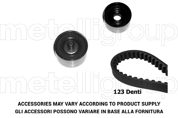 Timing Belt Kit (TW318)