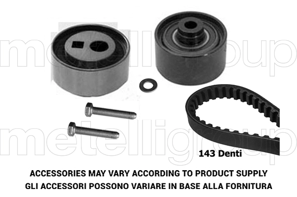 Timing Belt Kit (TW241)