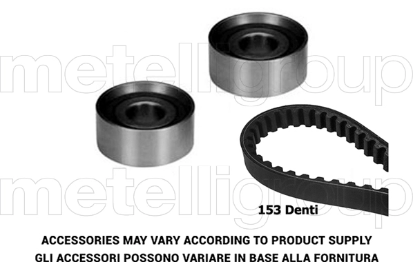 Timing Belt Kit (TW231)