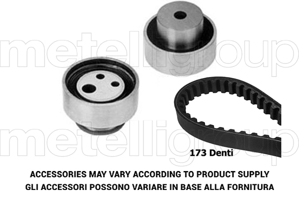 Timing Belt Kit (TW234)