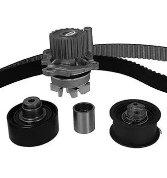 Water Pump & Timing Belt Kit (KW731-2)