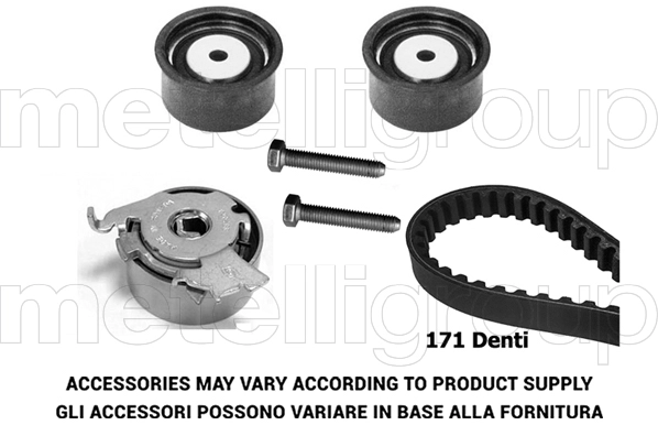 Timing Belt Kit (TW264)