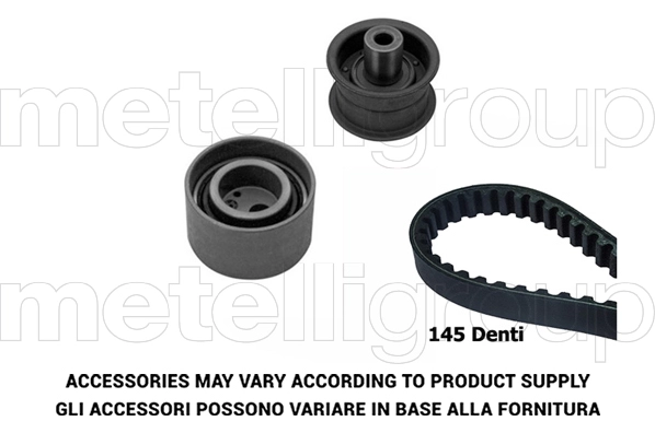 Timing Belt Kit (TW317)